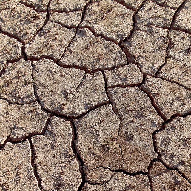 Climate Action